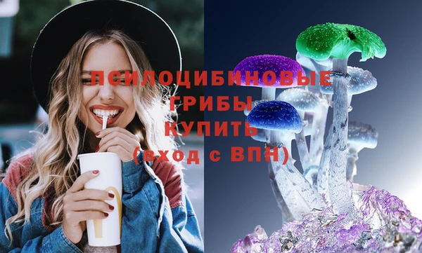 шишки Богданович