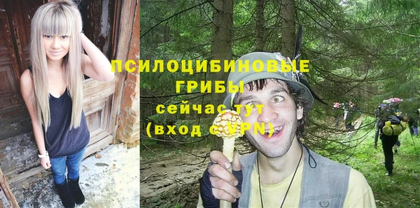 соль ск Осташков