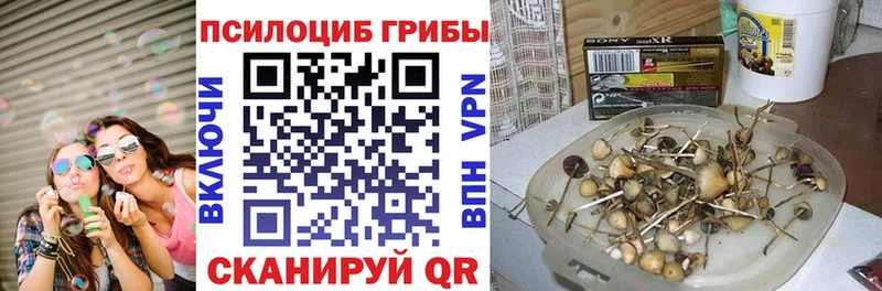 Галлюциногенные грибы ЛСД blacksprut как войти Ступино