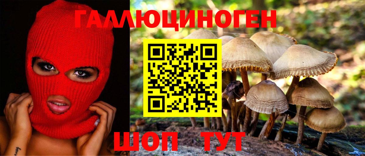 Псилоцибиновые грибы Magic Shrooms  Вход с VPN  Псилоцибиновые грибы ЛСД  купить наркотики цена  Ступино 
