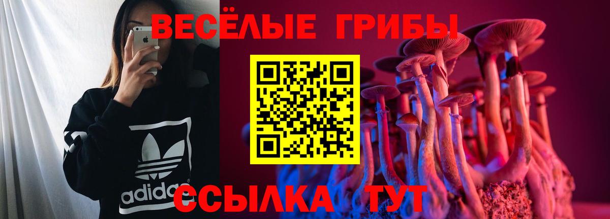 Галлюциногенные грибы MAGIC MUSHROOMS Ступино