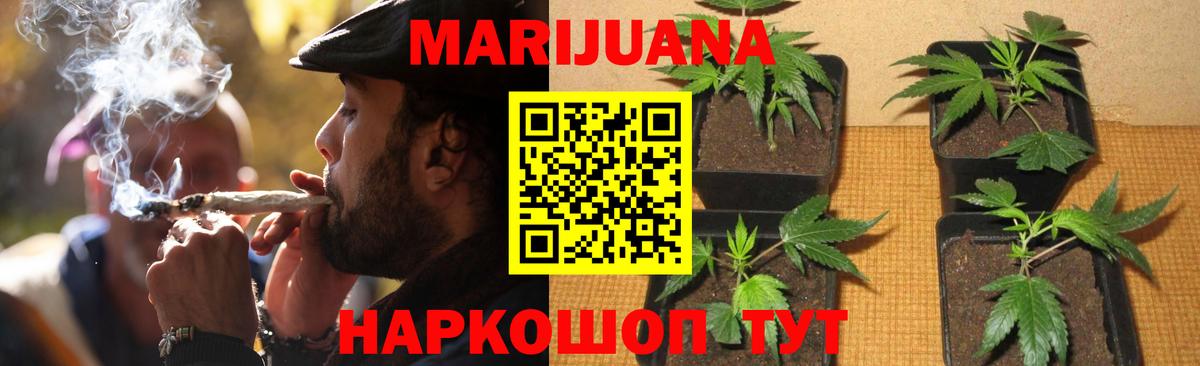 Бошки Шишки семена Ступино